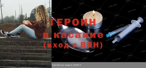 индика Абаза