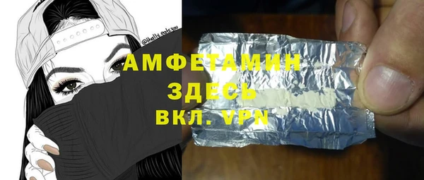 индика Абаза