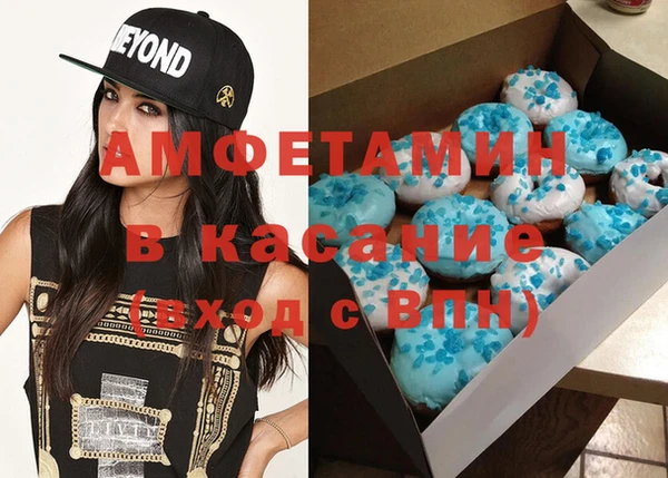 индика Абаза