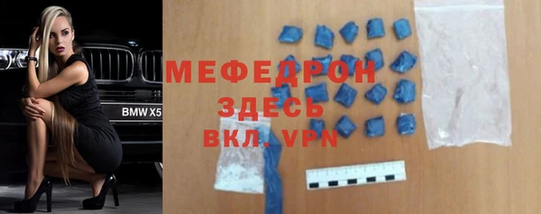индика Абаза
