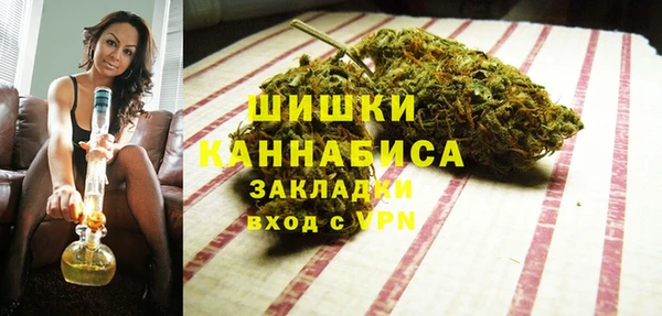 индика Абаза