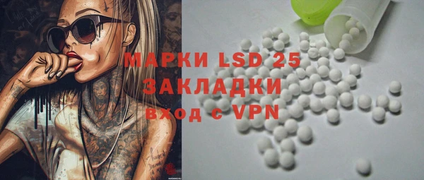 индика Абаза