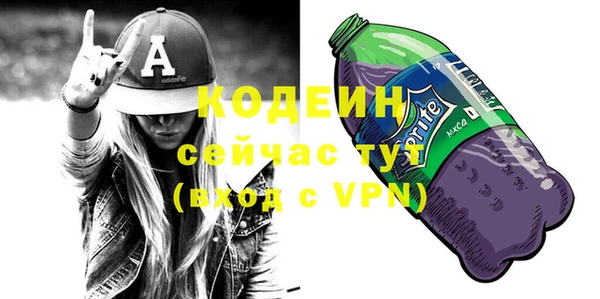 индика Абаза