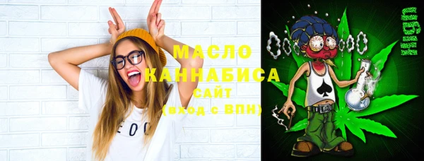 индика Абаза